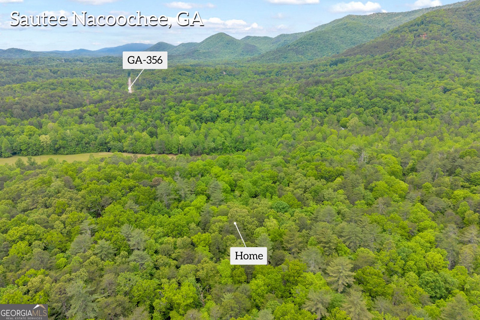 142 Heavenly Ridge Sautee Nacoochee - Photo 31