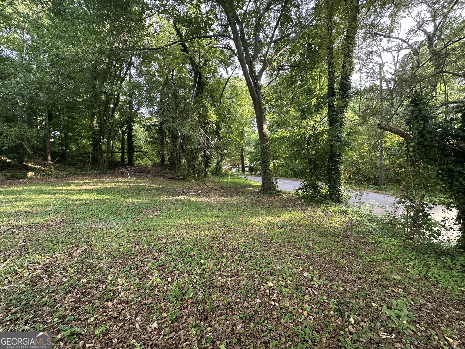 280 Crescent Drive Gainesville - Photo 12