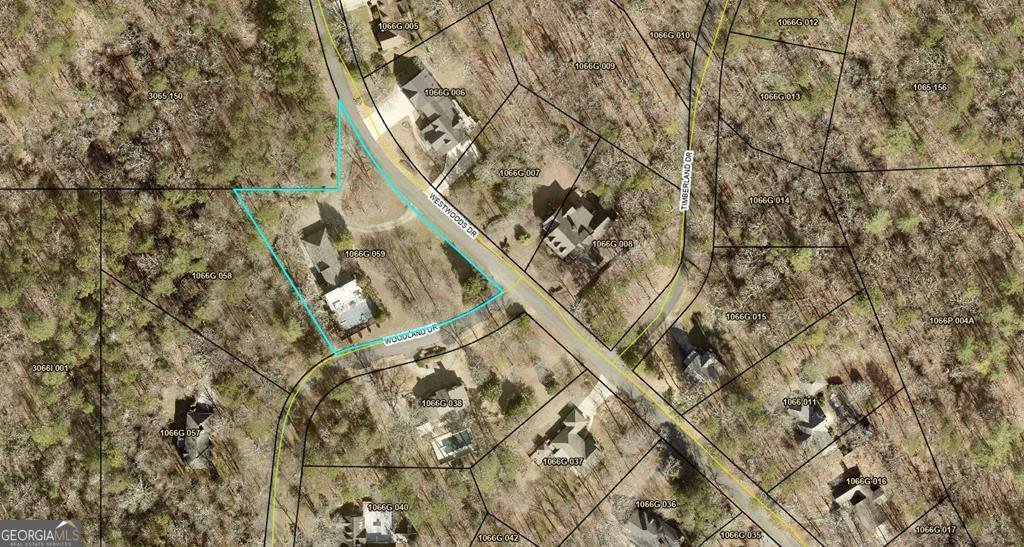 196 Westwoods Drive Ellijay - Photo 60