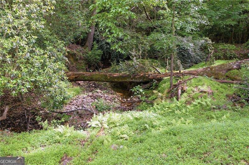 691 Dixon Drive Gainesville - Photo 45
