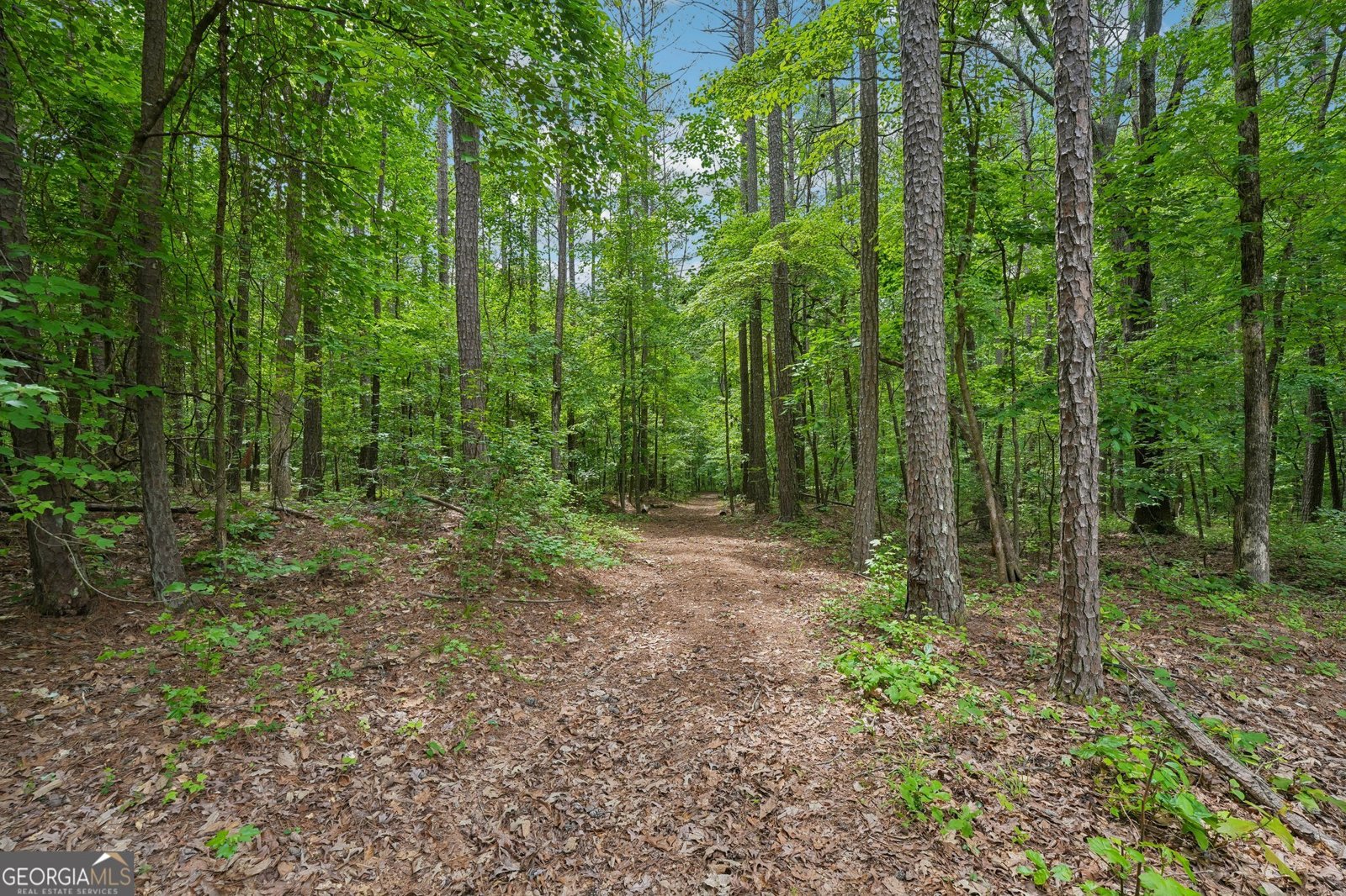 164 Vaughn Road Newnan - Photo 65