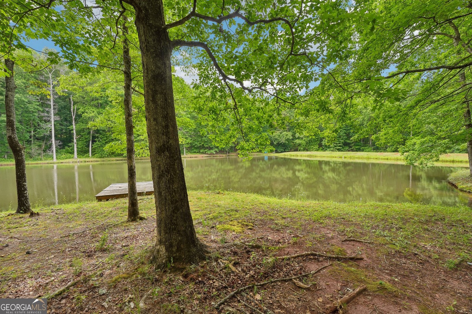 164 Vaughn Road Newnan - Photo 66