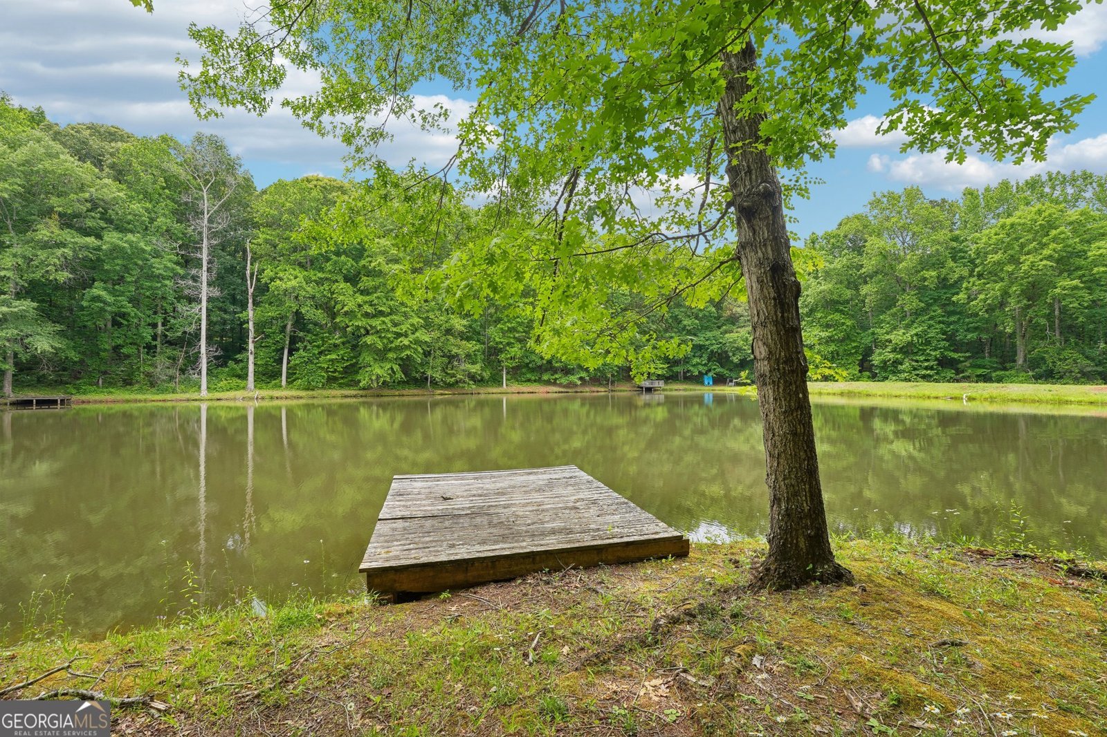 164 Vaughn Road Newnan - Photo 67