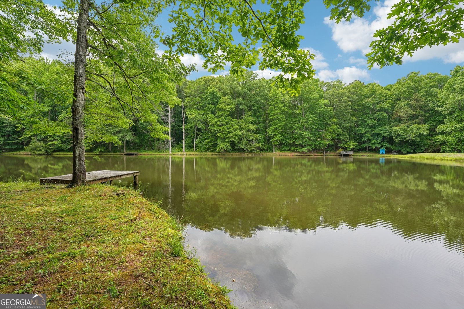 164 Vaughn Road Newnan - Photo 68