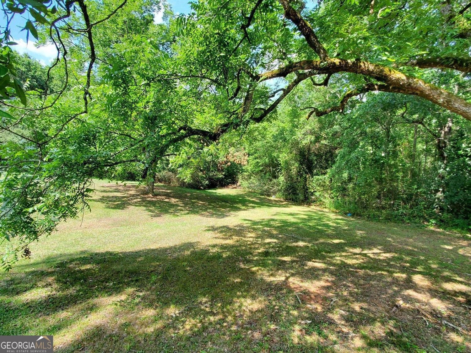 705 Triune Mill Road Thomaston - Photo 32