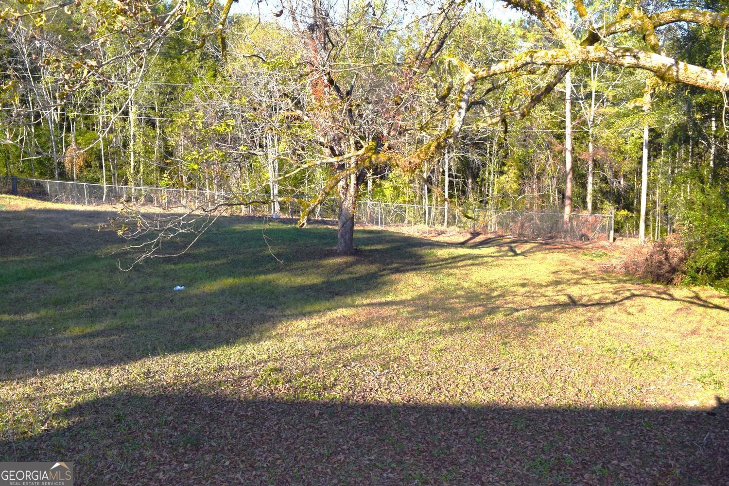 705 Triune Mill Road Thomaston - Photo 33