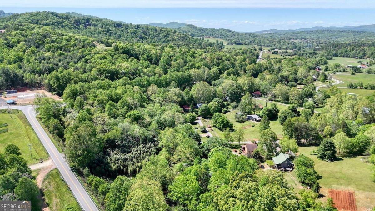 200 Morris Ford Road Blairsville - Photo 51