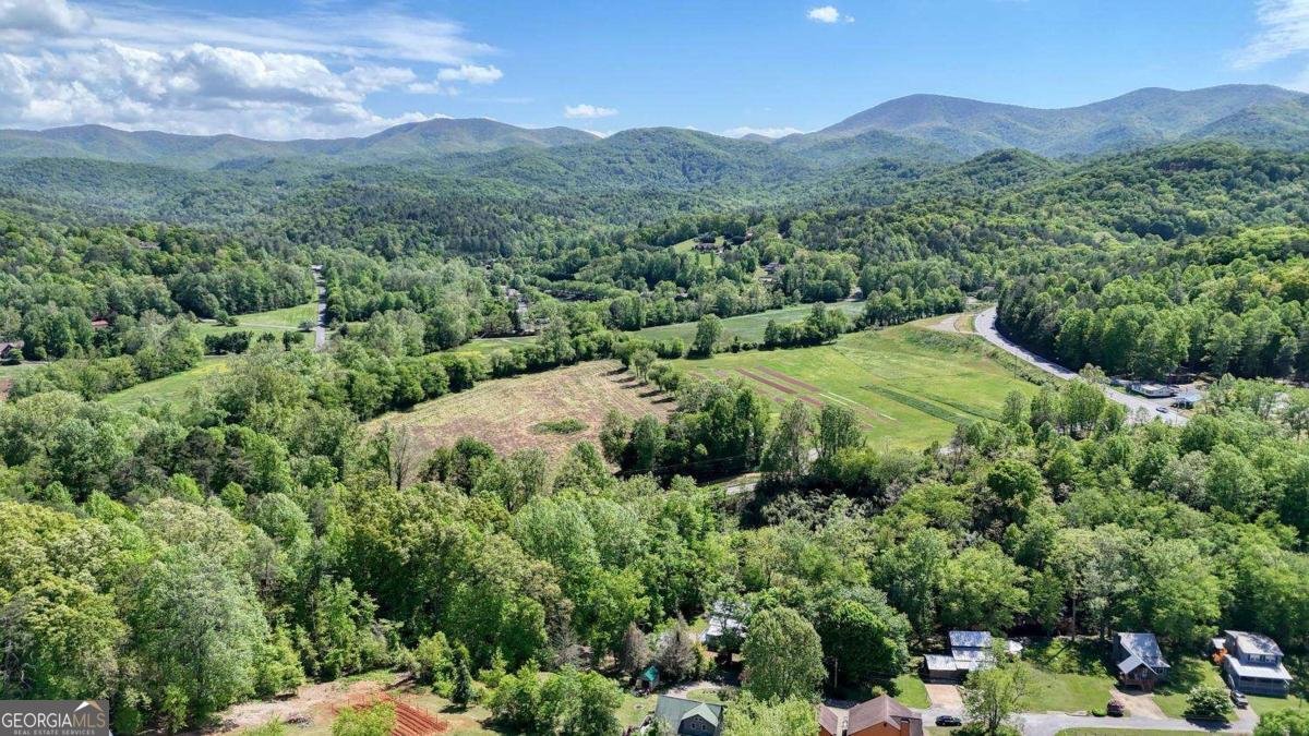 200 Morris Ford Road Blairsville - Photo 53