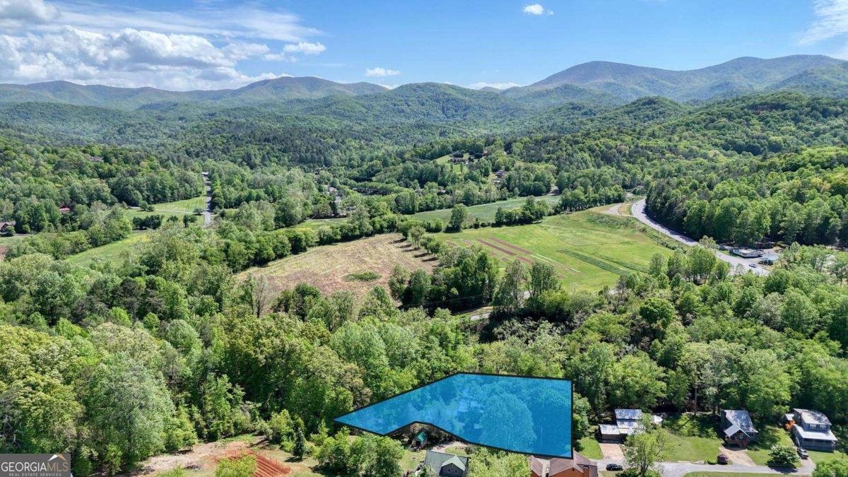 200 Morris Ford Road Blairsville - Photo 54