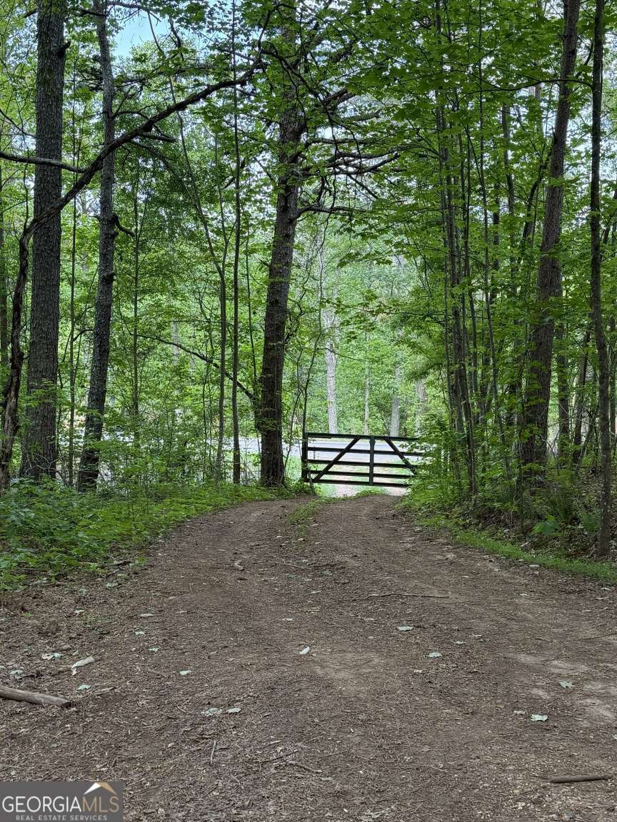 3370 Cowart Road Dawsonville - Photo 10