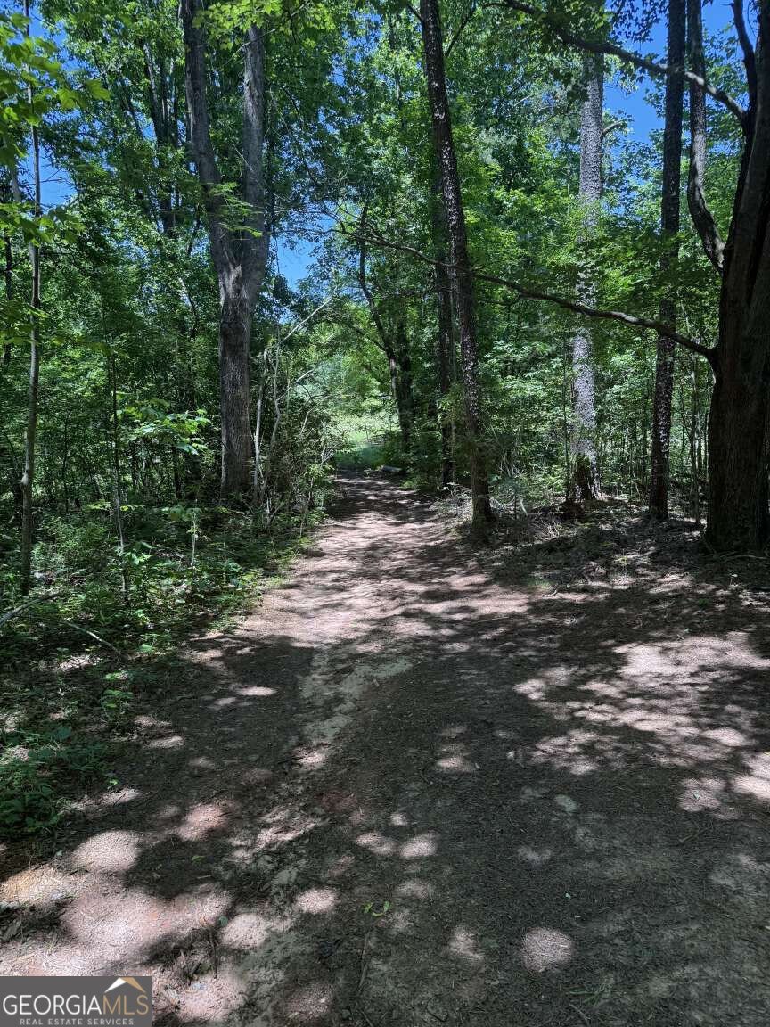 3370 Cowart Road Dawsonville - Photo 19