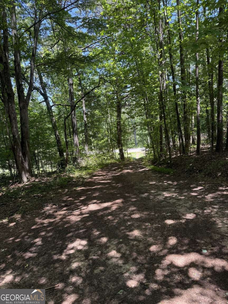 3370 Cowart Road Dawsonville - Photo 20