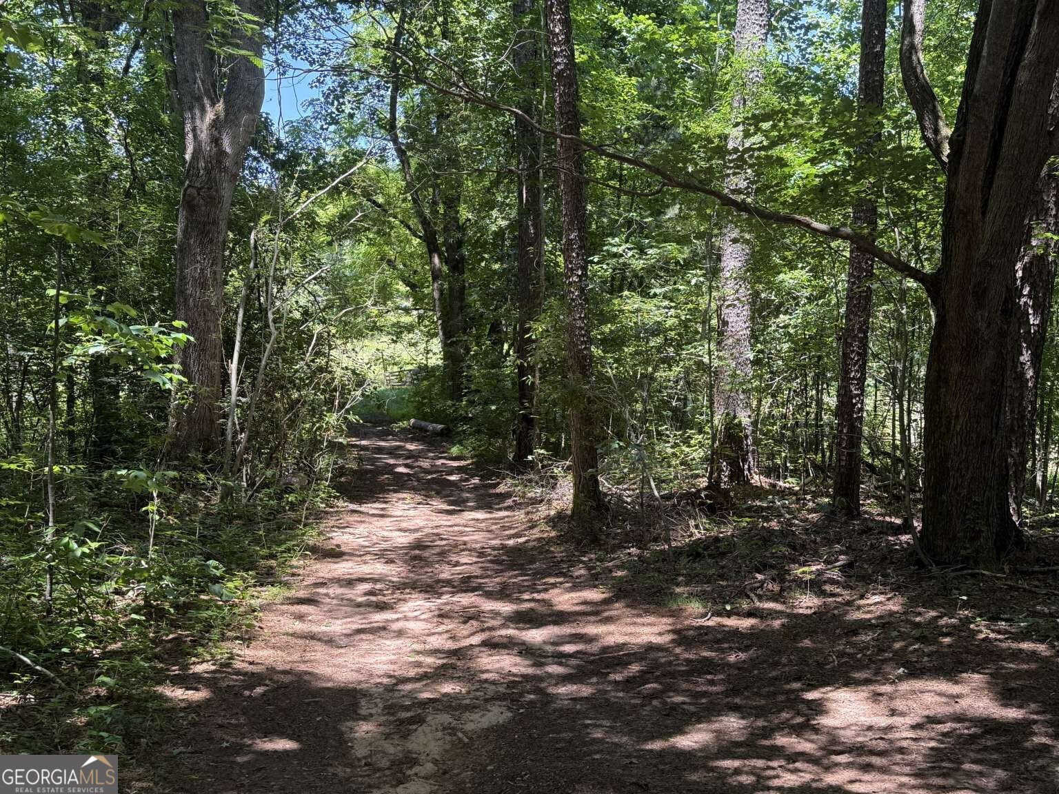 3370 Cowart Road Dawsonville - Photo 21