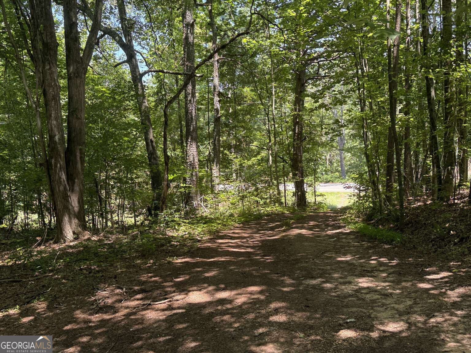 3370 Cowart Road Dawsonville - Photo 22