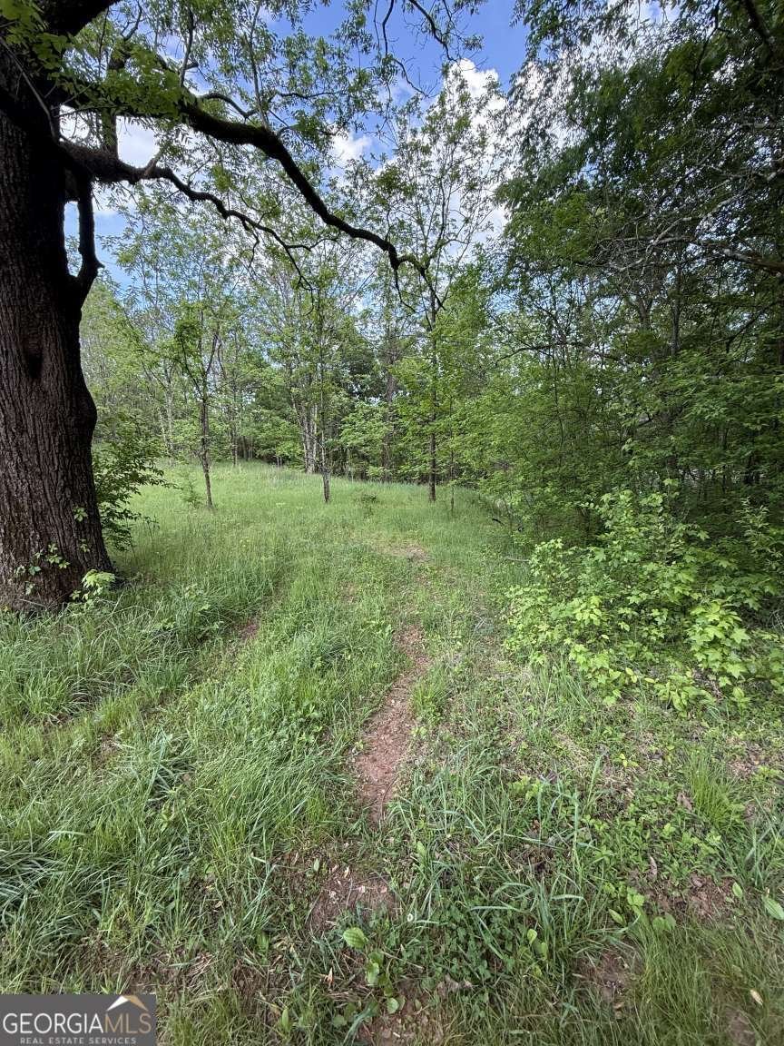 3370 Cowart Road Dawsonville - Photo 7