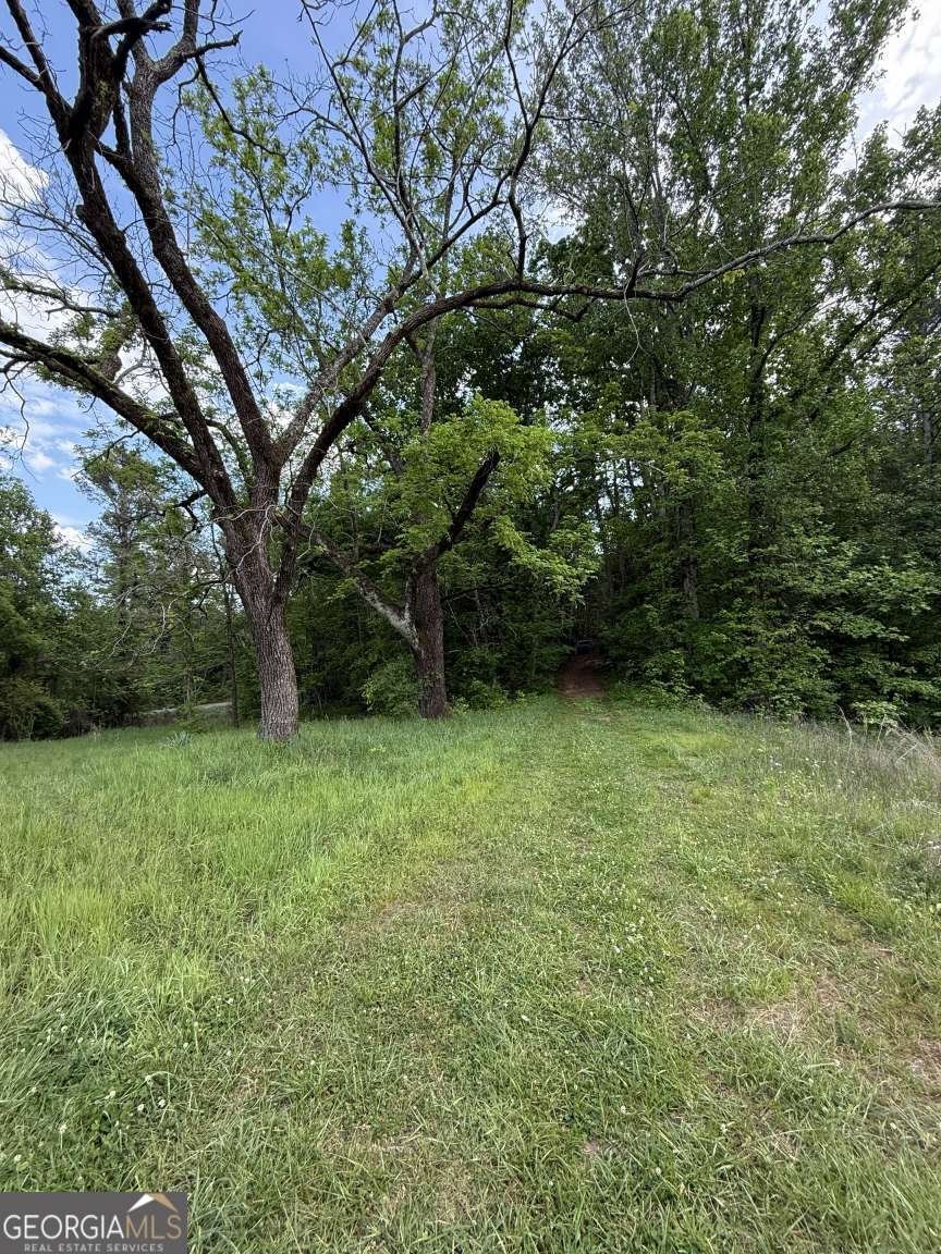 3370 Cowart Road Dawsonville - Photo 9