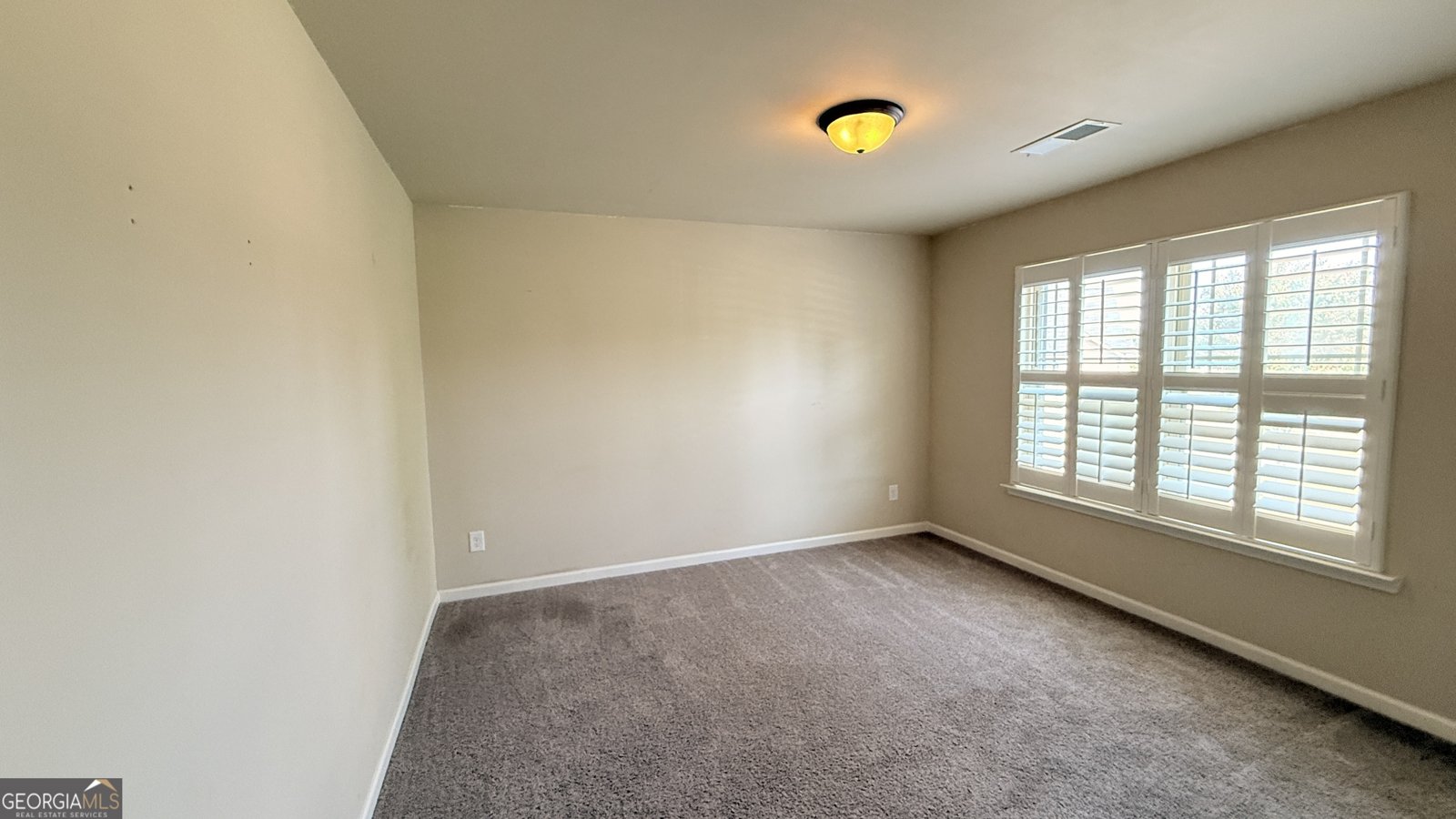 1197 Creek Crossing Drive Mcdonough - Photo 12
