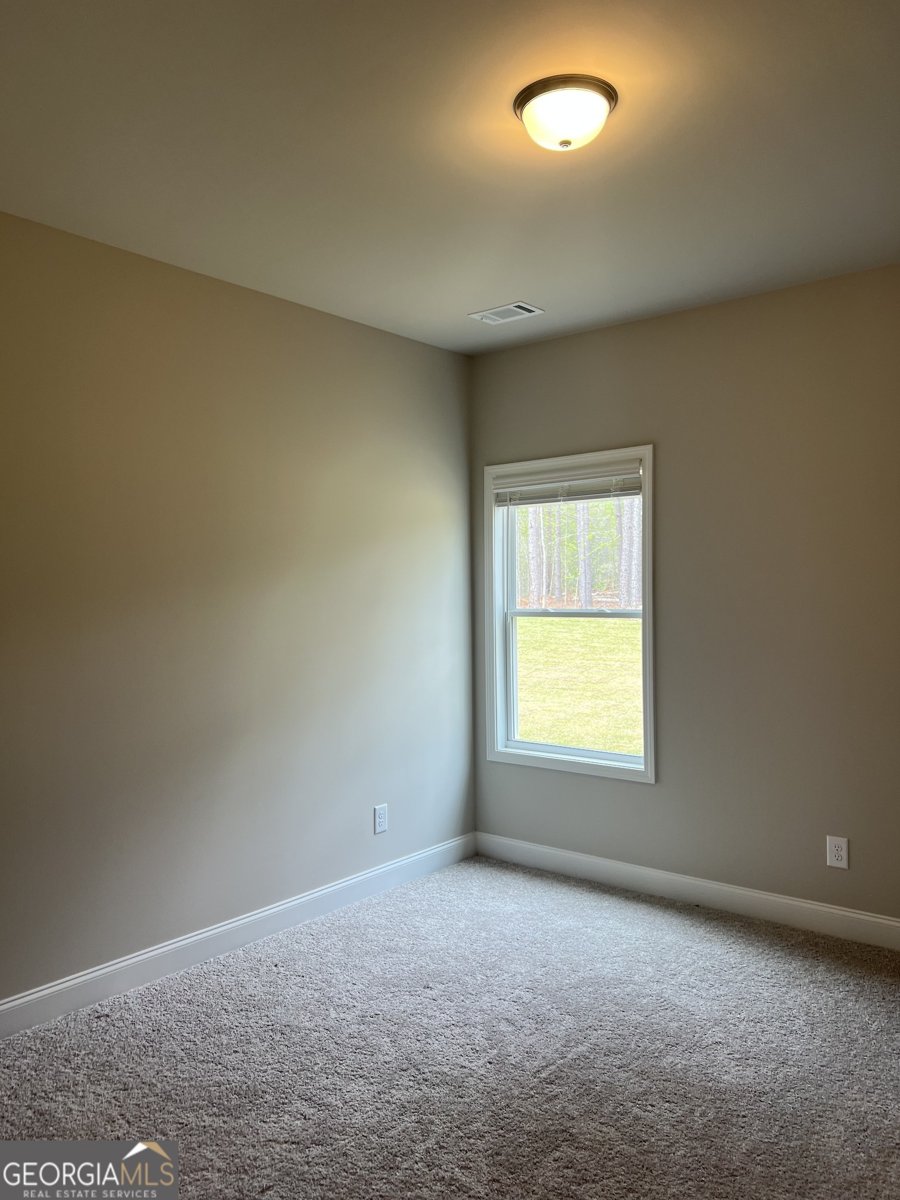 894 Bessie Court Loganville - Photo 34