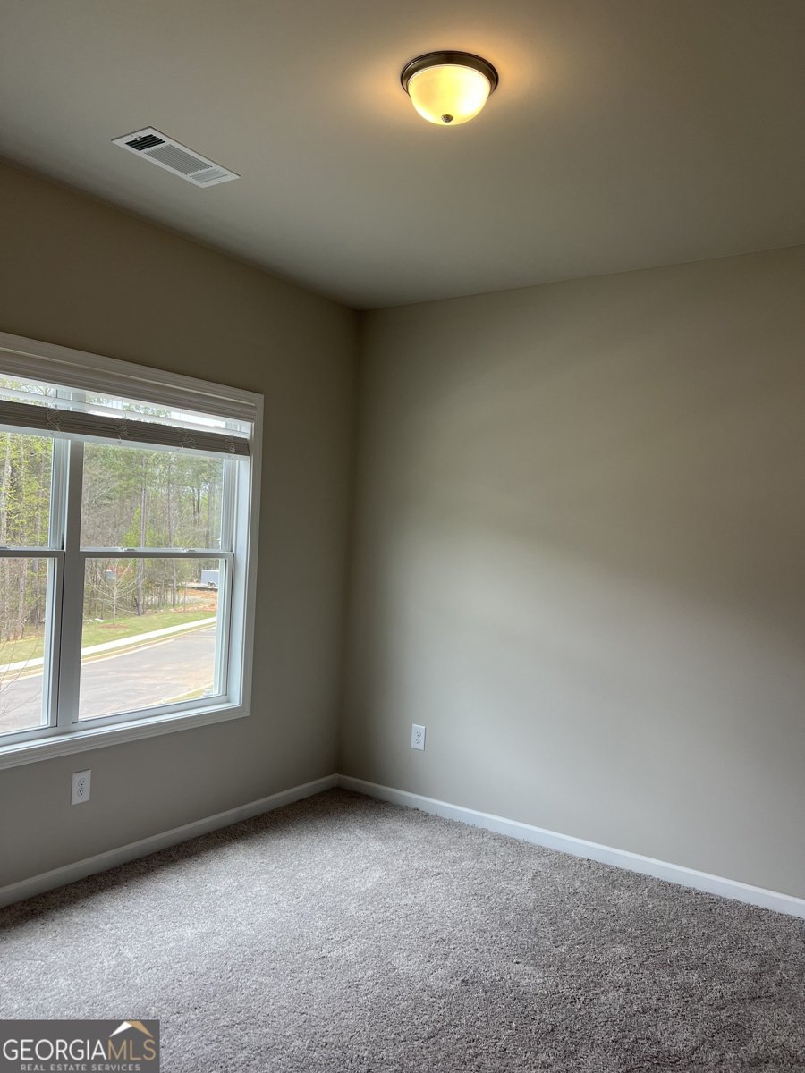 894 Bessie Court Loganville - Photo 38