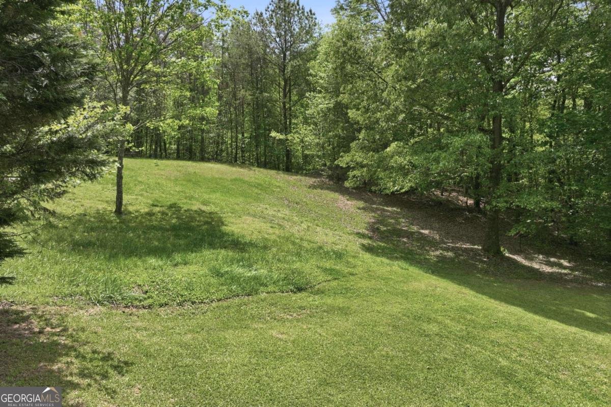 31 Altamont Court Dahlonega - Photo 36