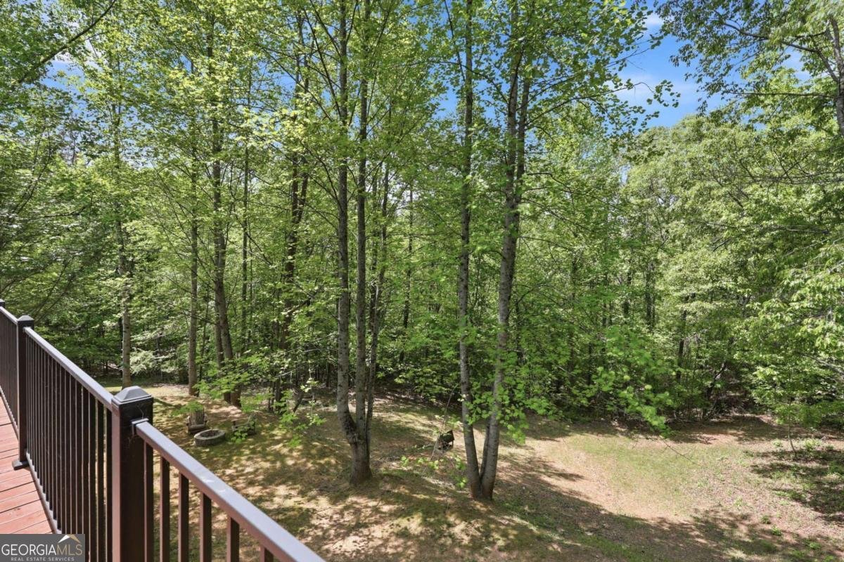 31 Altamont Court Dahlonega - Photo 48