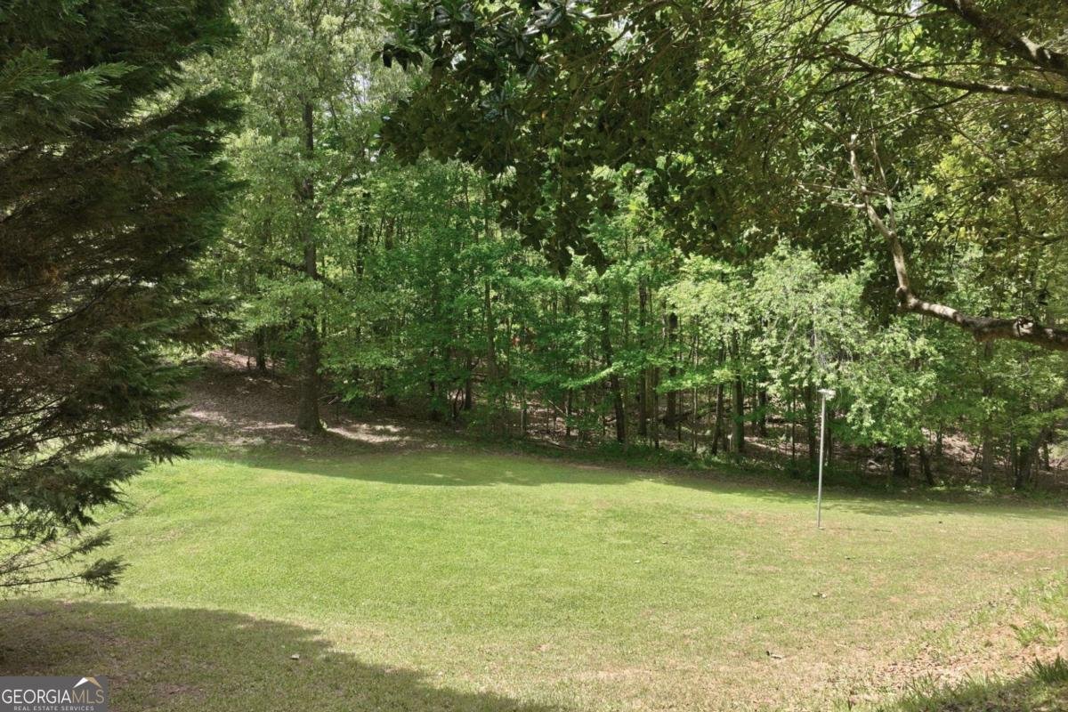 31 Altamont Court Dahlonega - Photo 49