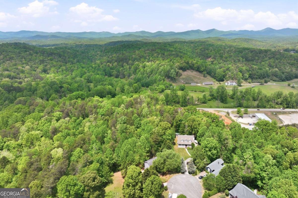 31 Altamont Court Dahlonega - Photo 51