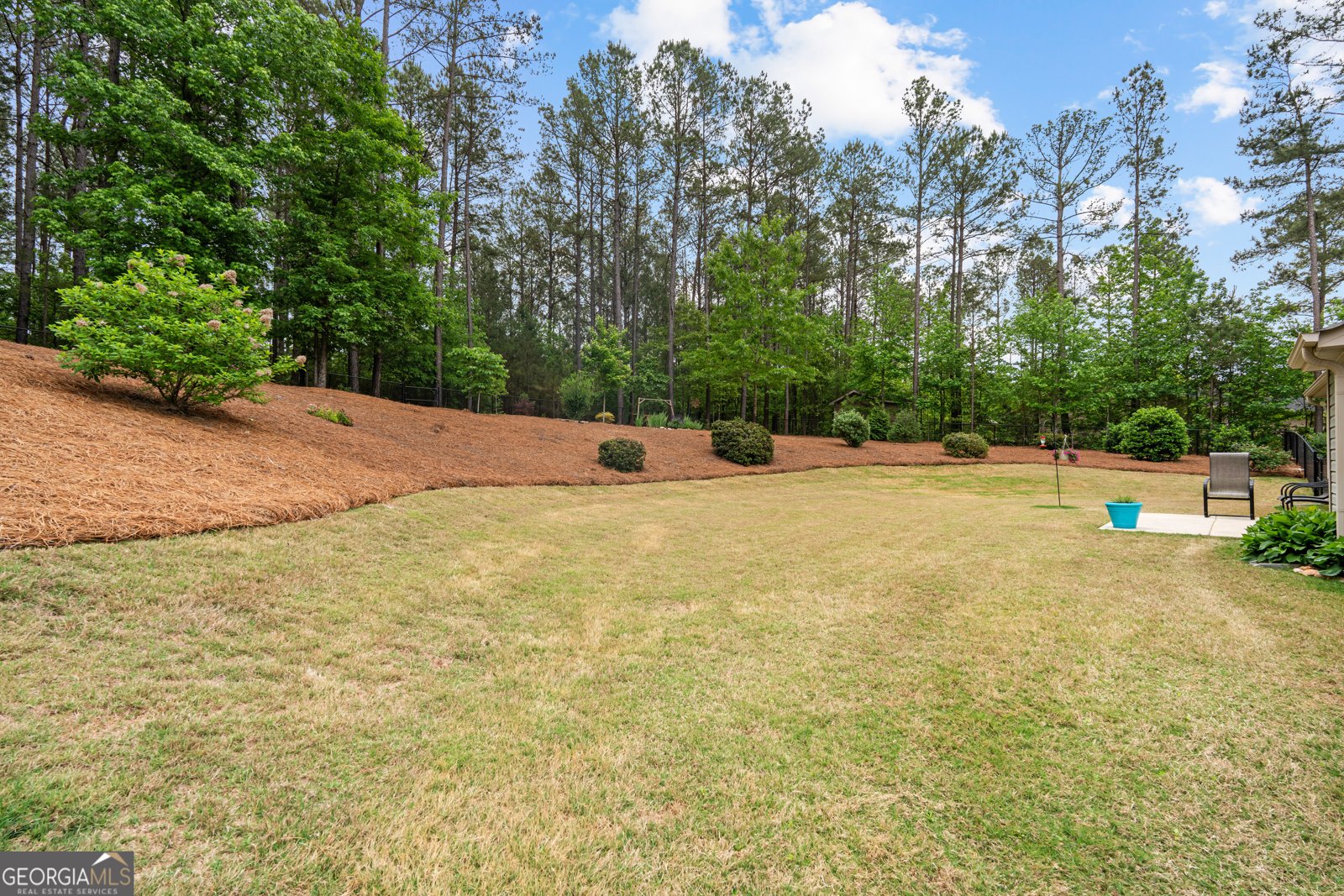 29 Concord Court Senoia - Photo 38