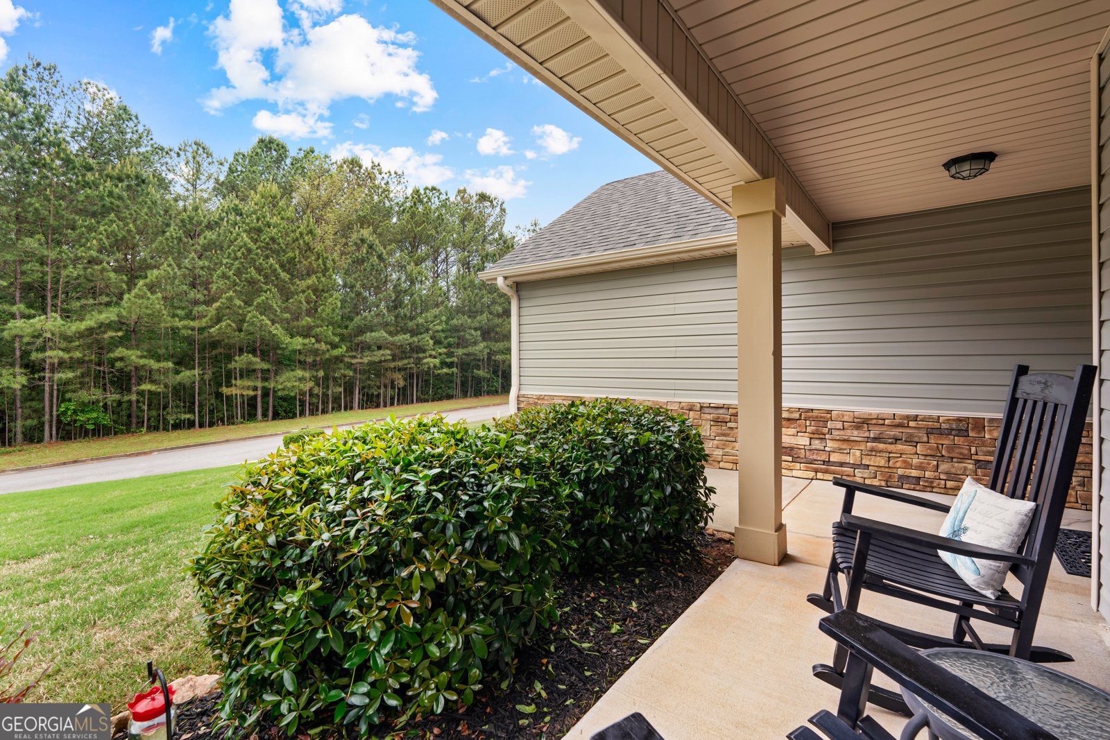 29 Concord Court Senoia - Photo 40