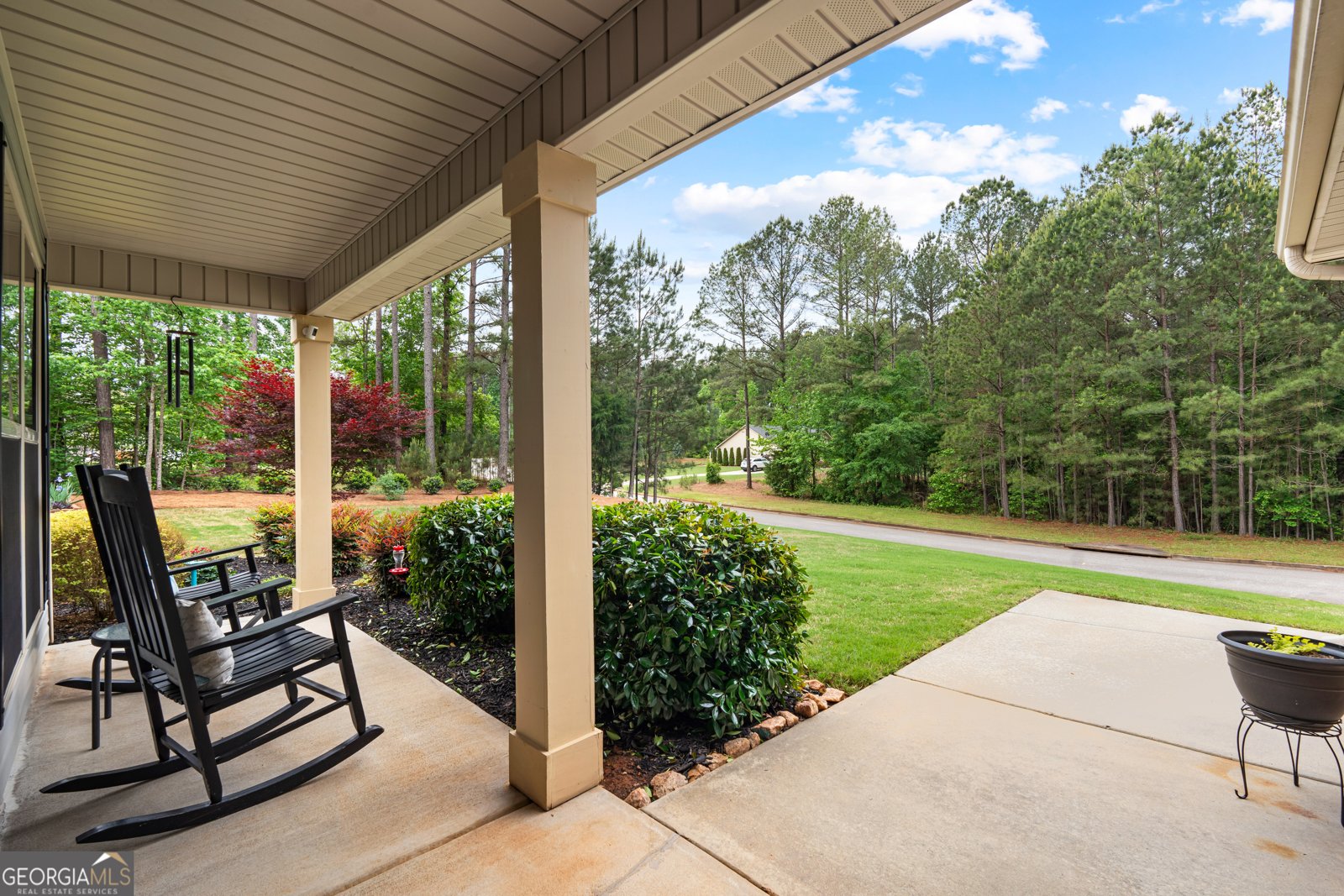 29 Concord Court Senoia - Photo 41