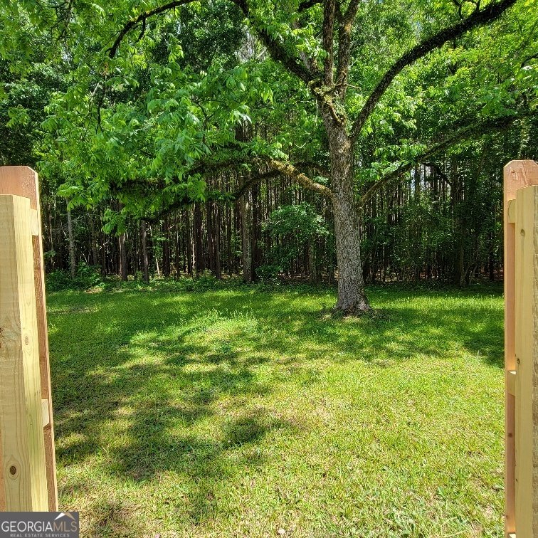 5321 HWY 15 SILOAM - Photo 33