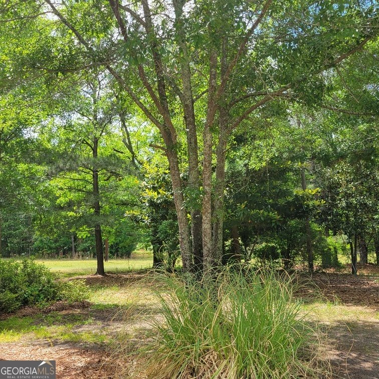 5321 HWY 15 SILOAM - Photo 38