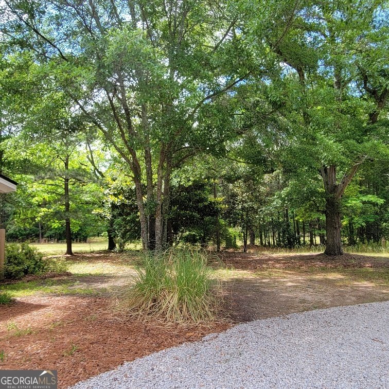 5321 HWY 15 SILOAM - Photo 39