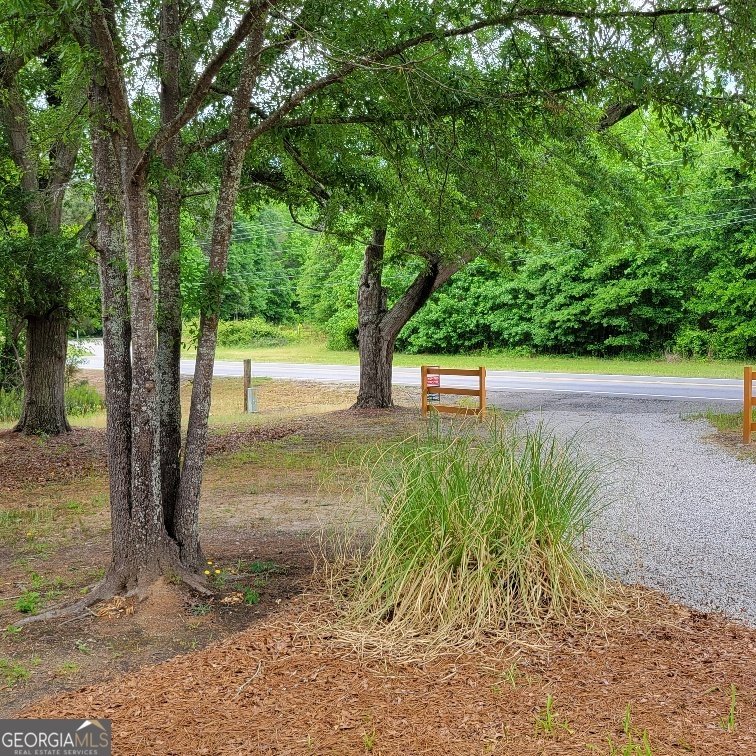 5321 HWY 15 SILOAM - Photo 40