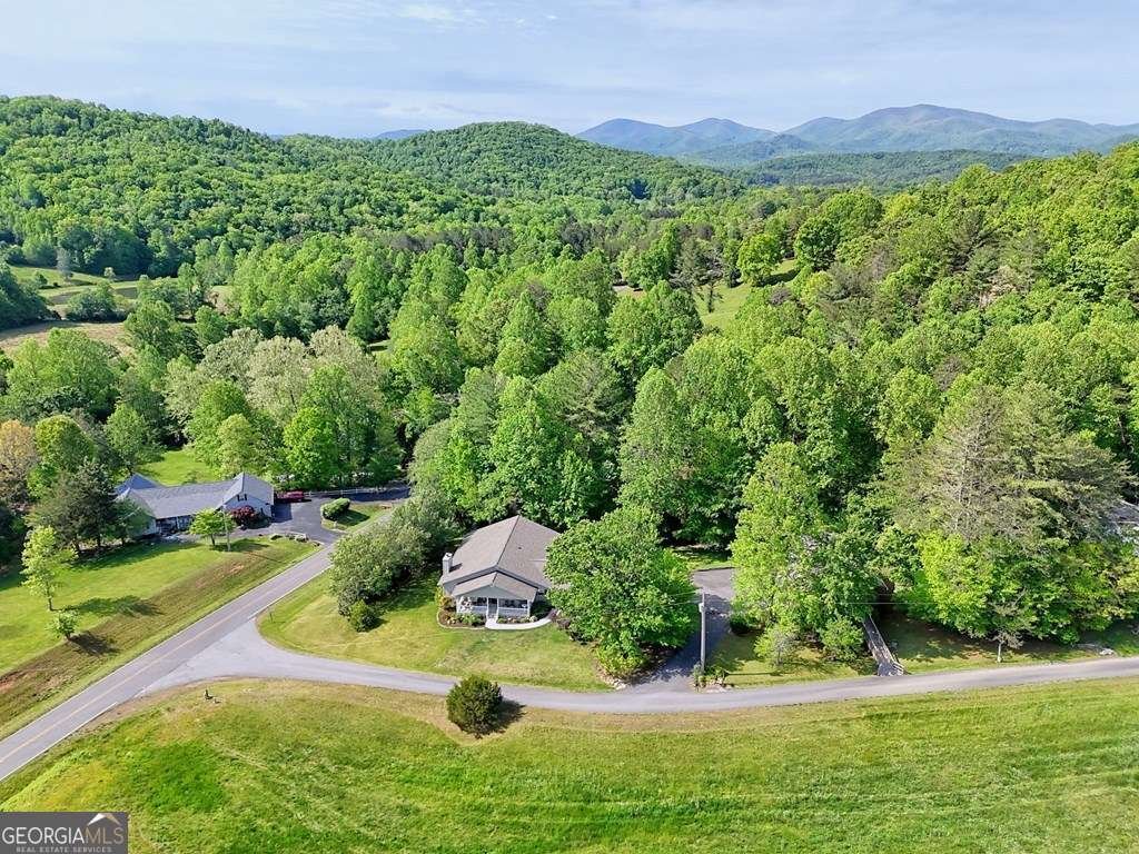 43 Ed Sexton Drive Blairsville - Photo 44