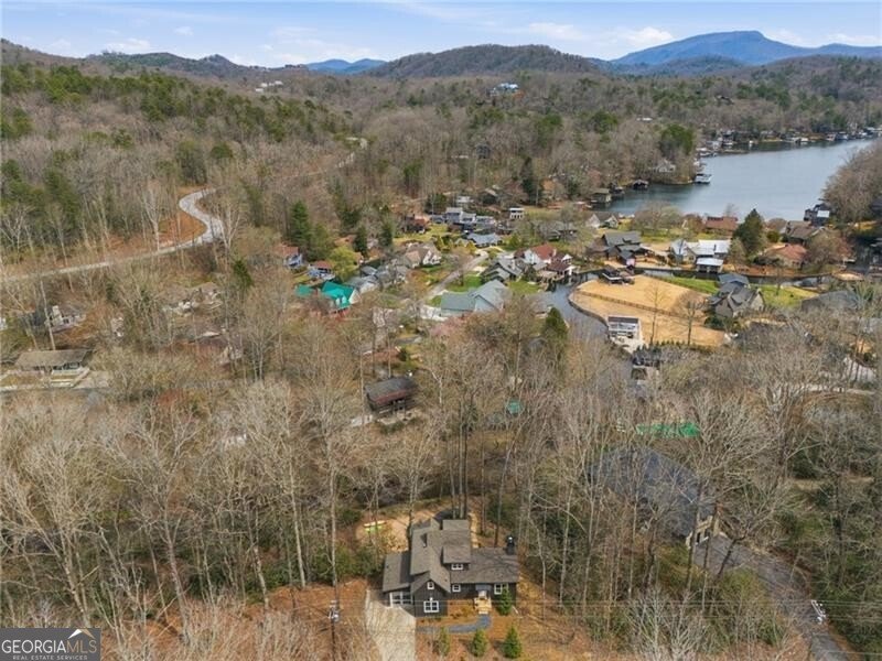 2265 GA-197 Clarkesville - Photo 41