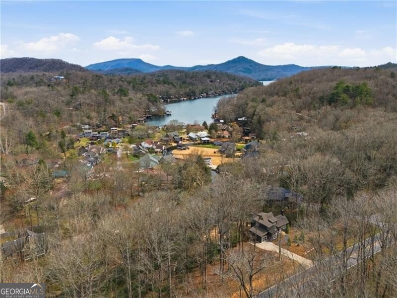 2265 GA-197 Clarkesville - Photo 42