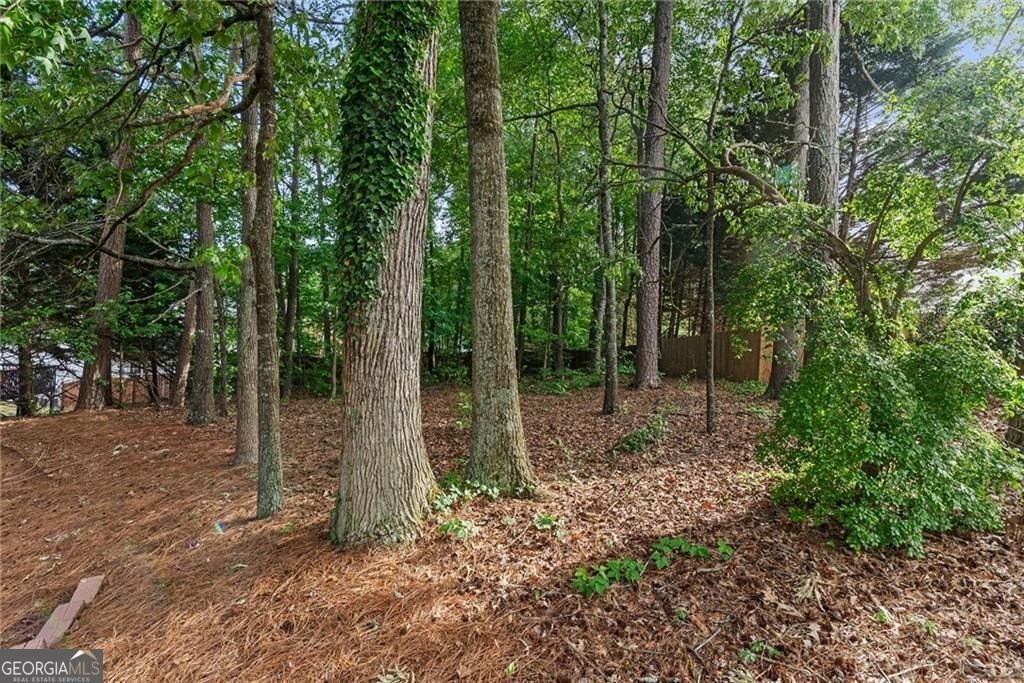2836 Springrock Way lawrenceville - Photo 38