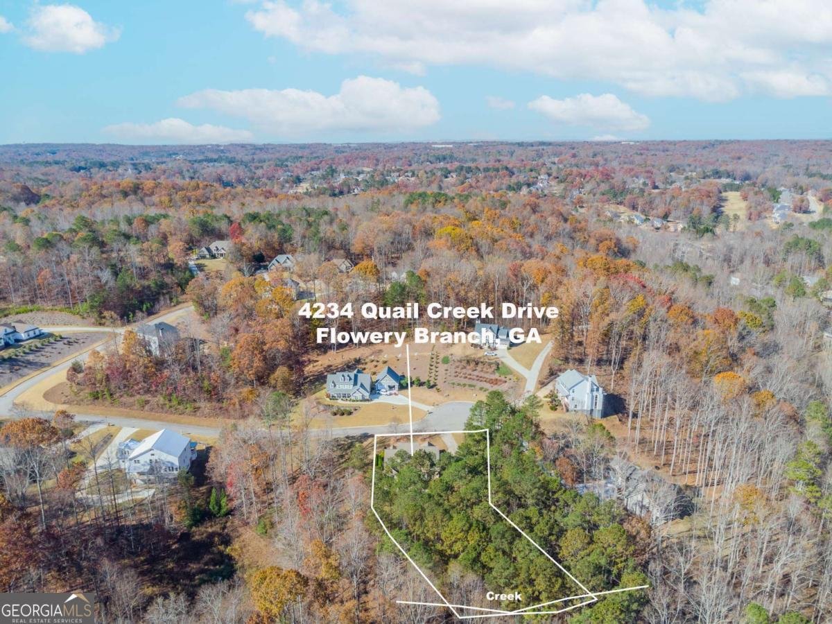 4234 Quail Creek Drive Flowery Branch - Photo 32