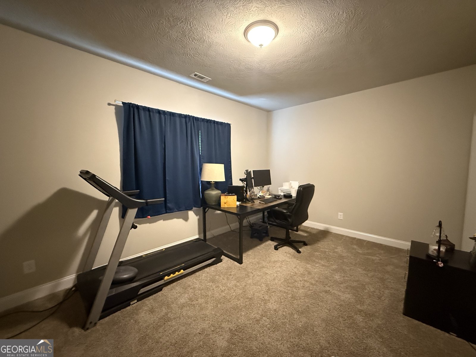 136 Pebble Lane Harlem - Photo 25