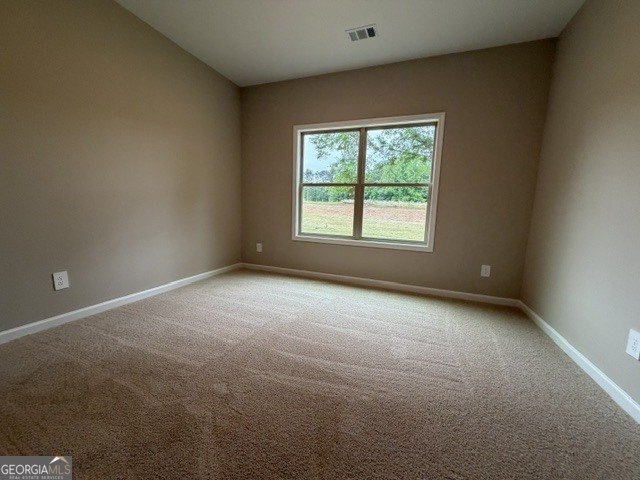 264 Robert Williams Road Greenville - Photo 19