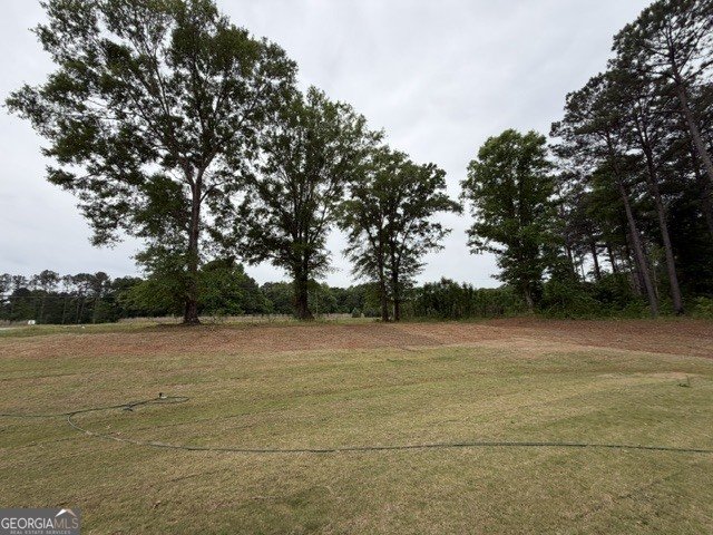 264 Robert Williams Road Greenville - Photo 21