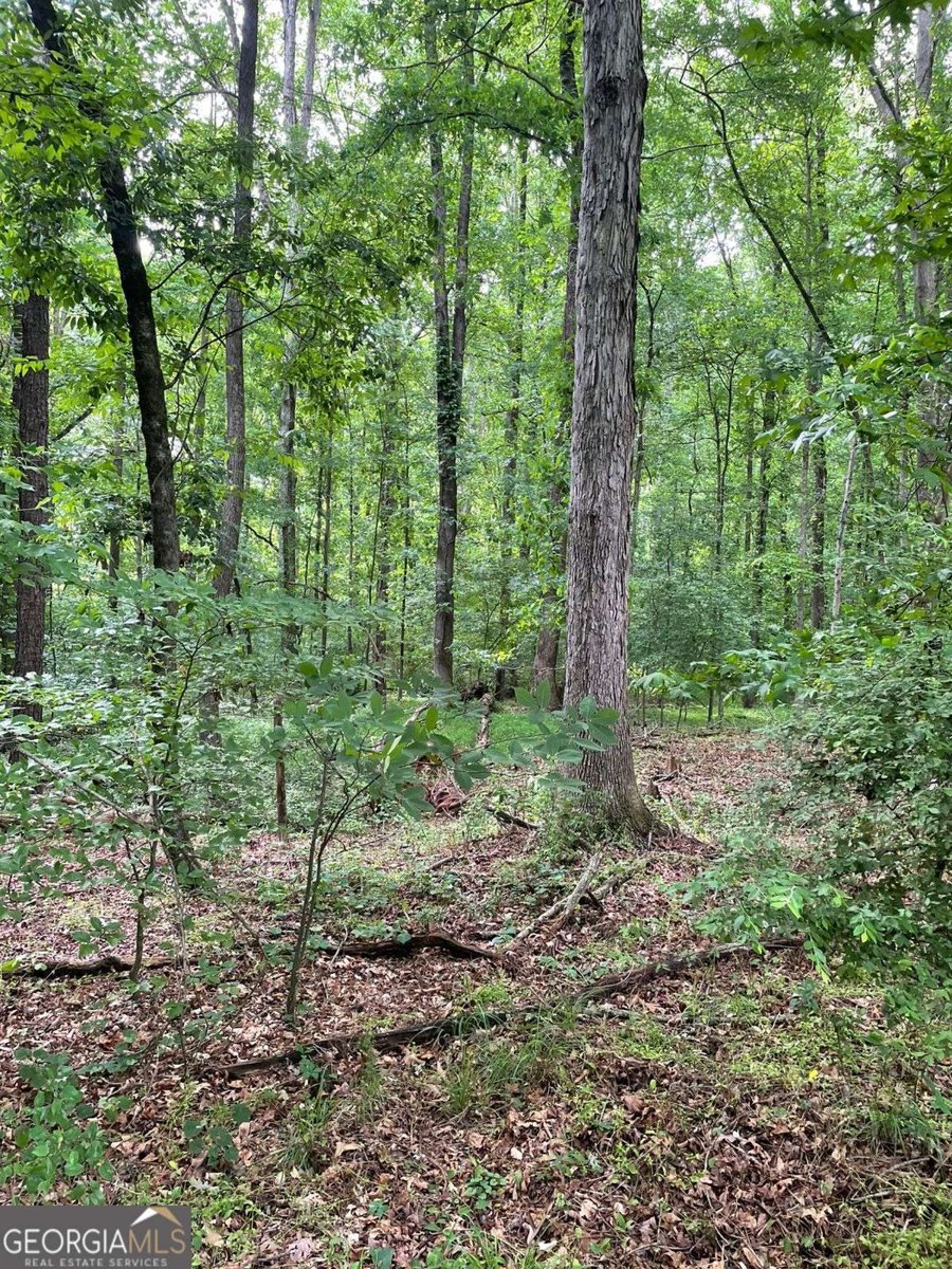 906 Jefferson River Road Jefferson - Photo 22