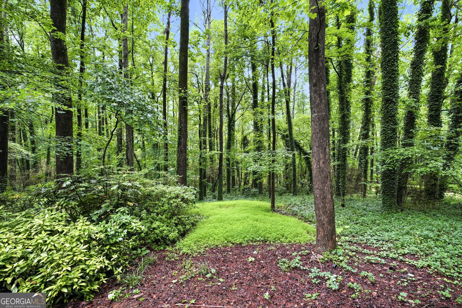 2399 Deer Ridge Drive Stone Mountain - Photo 39
