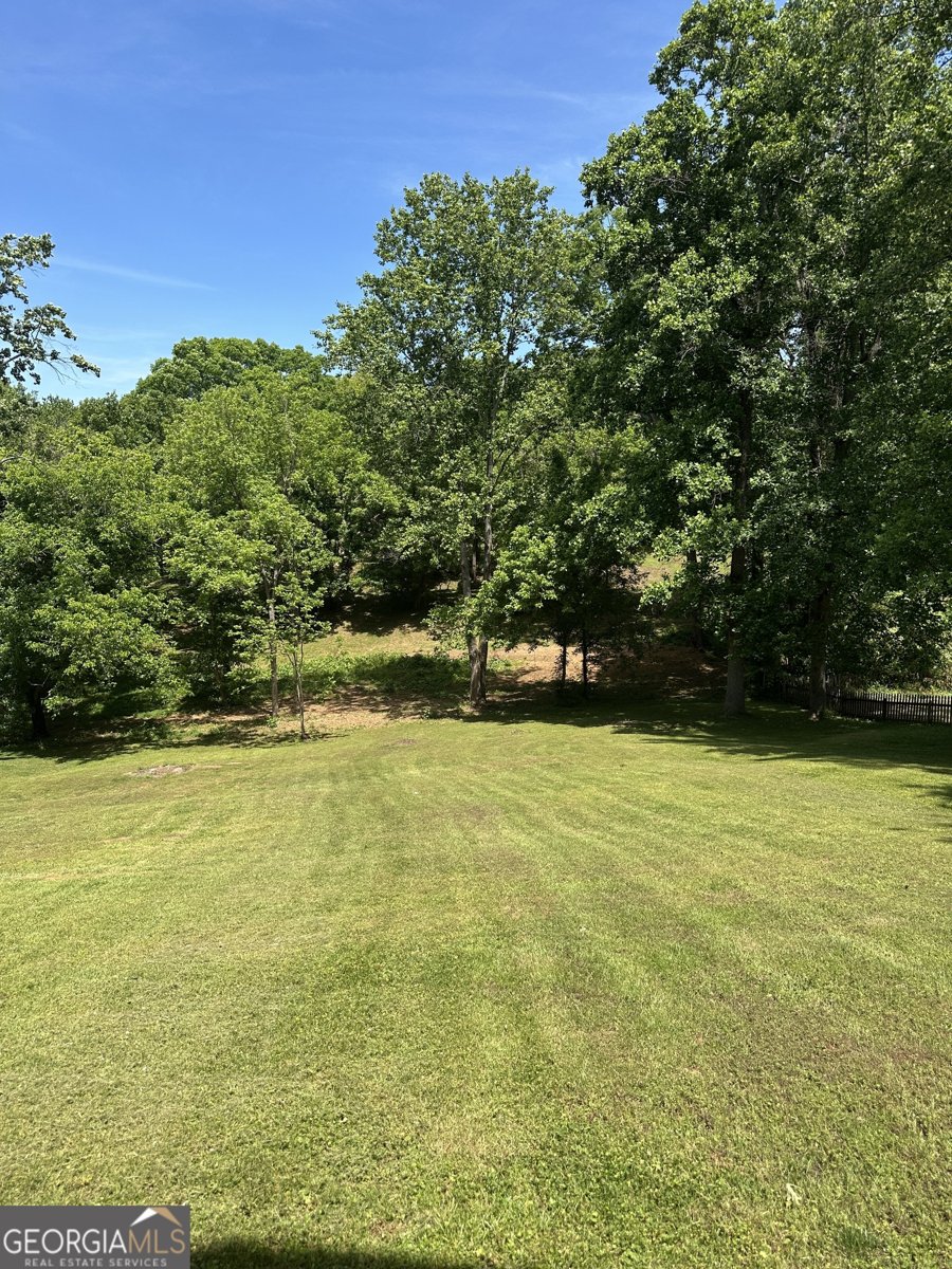 235 Cook Street Alto - Photo 23
