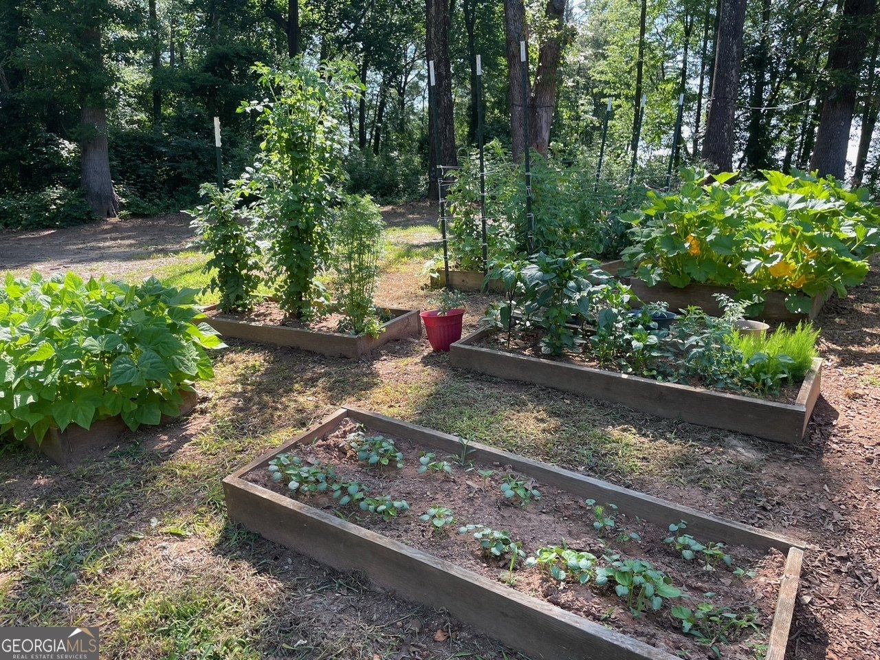 1260 Nelms Rd. Carnesville - Photo 31
