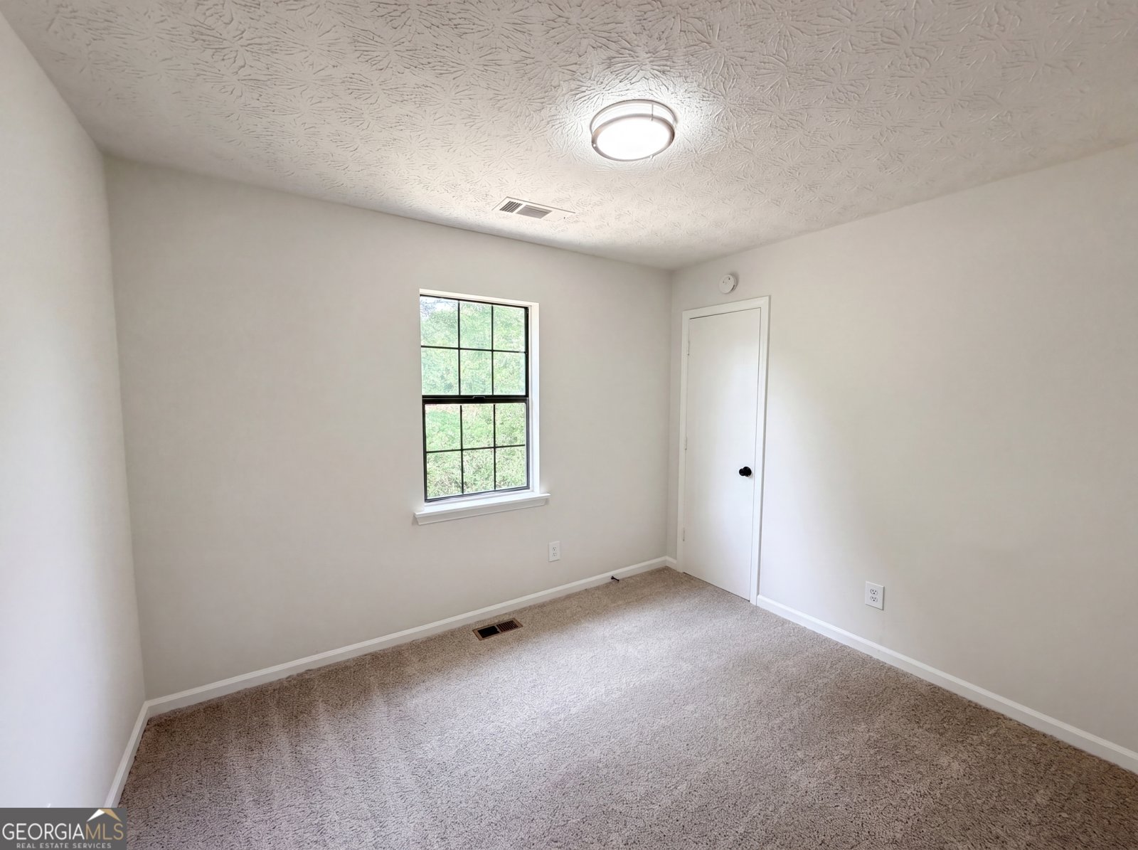 3371 Youth Monroe Road Loganville - Photo 11