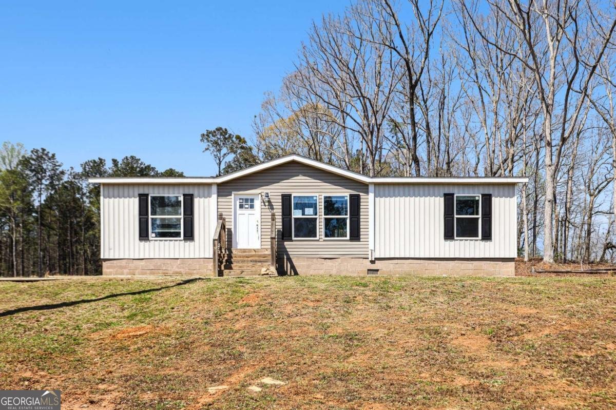 14315 GA HIGHWAY 100 Franklin - Photo 1