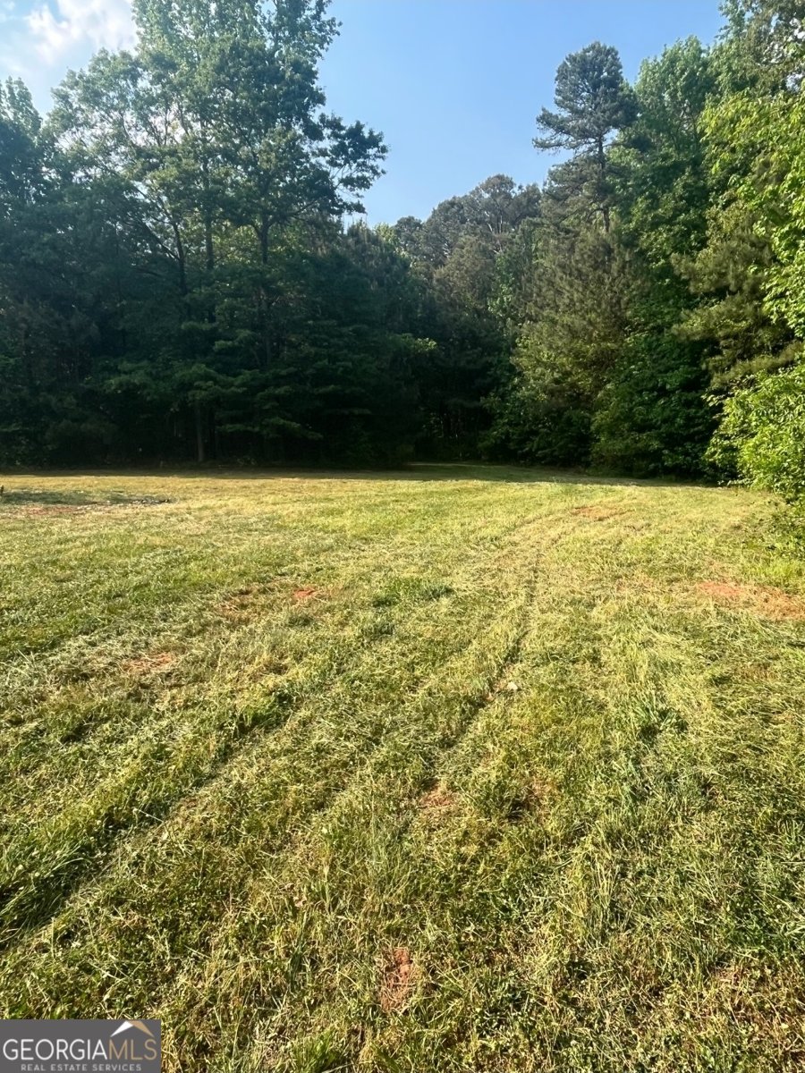 1111 Rehoboth Road Bishop - Photo 10