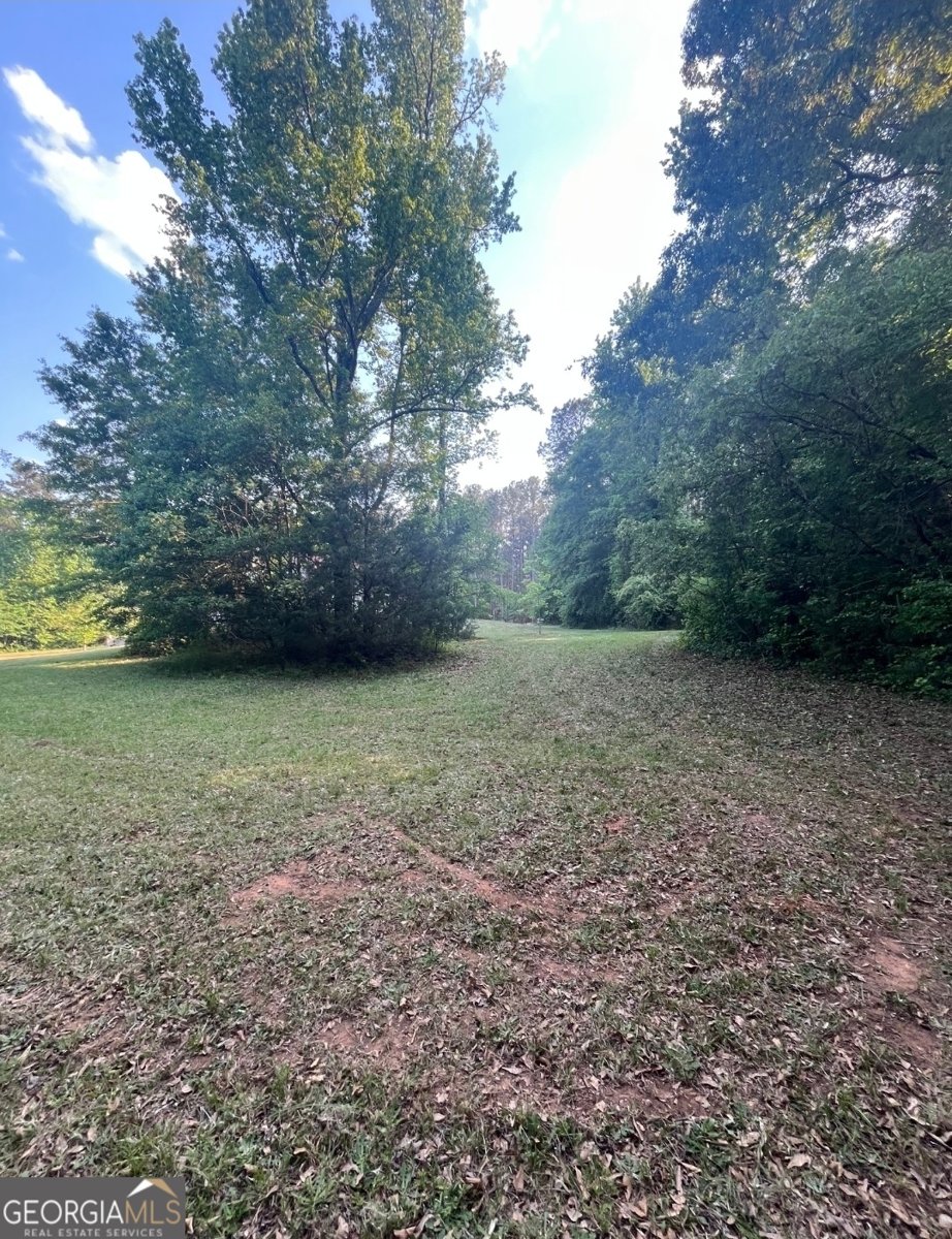 1111 Rehoboth Road Bishop - Photo 11